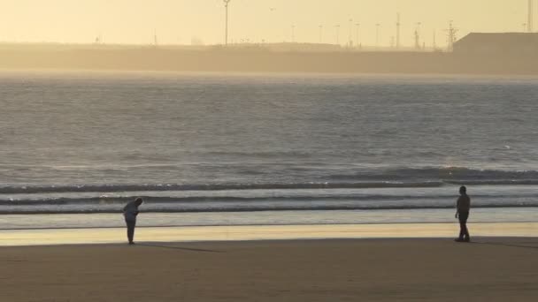 日落时 资深夫妇在海滩上放松 其他人在慢跑中散步 — 图库视频影像