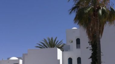 Afrika veya Arabistan seyahat hedefleri arka plan kopya alanı ile. Beyaz binalar ve palmiye ağaçları mavi gökyüzü karşı
