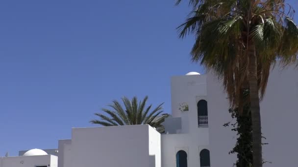 非洲或阿拉伯旅行目的地背景与复制空间 白色的大厦和棕榈树反对蓝天 — 图库视频影像