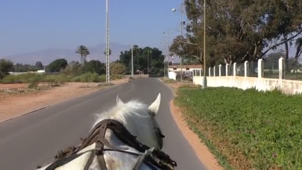 Paisaje Rural Con Montañas Atlas Distancia Conducir Carro Caballos Marruecos — Vídeo de stock