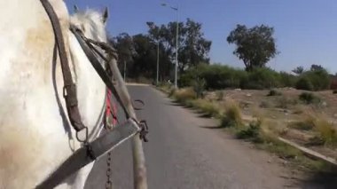Sağ tarafında bir sepeti veya taşıma yolda sürüş sırasında emniyet kemeri ile at