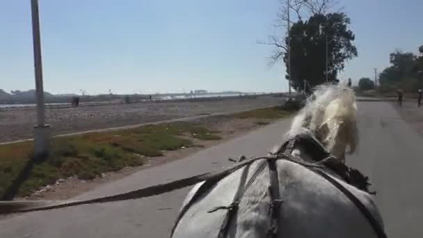 Oued Sous Rivier Landschapsmening Van Paard Wagen Marokko Afrika — Stockvideo