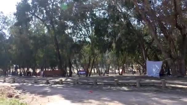 View Driving Car Moroccan Families Children Having Picnic City Woods — Stock Video