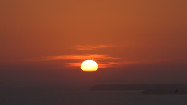 太陽は赤オレンジ色の空を飛んでいる鳥海の地平線近くは 大きな船は日没で霧で防波堤の障壁の後ろに隠れています — ストック動画