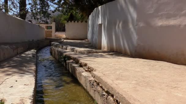 コンクリートの狭い用水路と アフリカのモロッコのオアシスで舗装されたパスの低角度のビュー — ストック動画