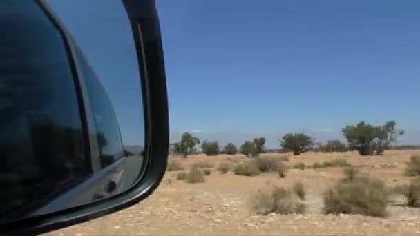 車でモロッコの旅 移動車側のバックミラーに焦点を当てます いくつかの木との距離の高アトラス山脈の乾燥のアフリカの風景 — ストック動画