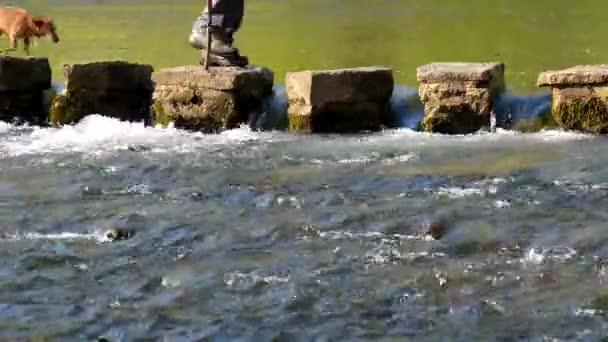 Çubuklu Bir Adamın Bacakları Köpeği Dovedale Vadisi Nde Nehrin Karşısına — Stok video