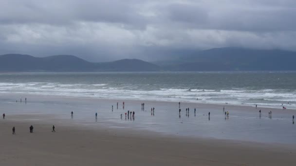 爱尔兰共和国丁格尔半岛Inch海滩上的远道而来的人们在恶劣天气下的全景 — 图库视频影像