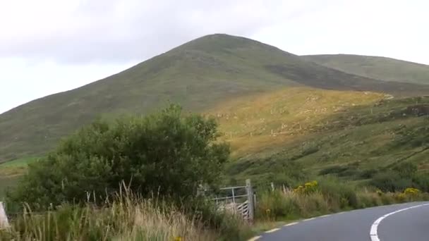 Auto Vooraanzicht Rijden Kronkelende Ring Kerry Weg N70 Ierland — Stockvideo