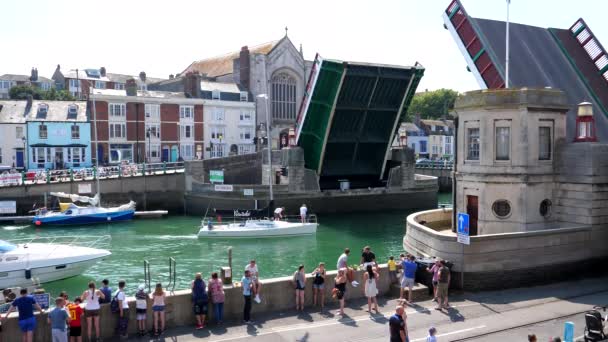 Weymouth England United Kingdom August 2020 Туристы Наблюдающие Яхтами Высокими — стоковое видео
