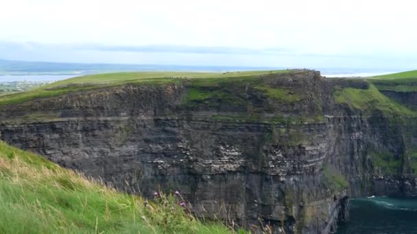 爱尔兰共和国克莱尔县莫赫左岸著名陡崖上的泛舟 — 图库视频影像