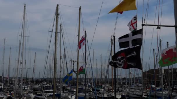 Piraten Waliser Und Andere Flaggen Wehen Vor Vielen Yachtmasten Yachthafen — Stockvideo