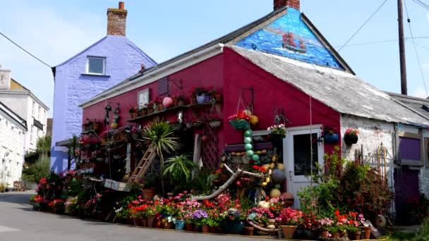 在英国康沃尔的阳光灿烂的一天 色彩艳丽的房子装饰着蜥蜴村的花朵 — 图库视频影像