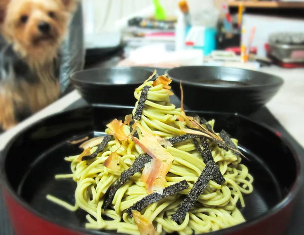 Yorkshire Terrier arıyorum Zaru Ramen Noodle ile kurutulmuş yosun ve kurutulmuş palamut Katsuo Bushi Japon yemekleri