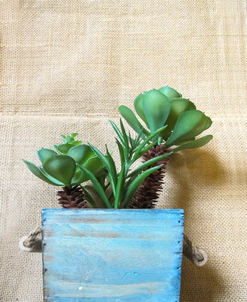 Fresh Artificial Flowers Plants Wooden Pot Colur Blue Background Burlap — Stock Photo, Image