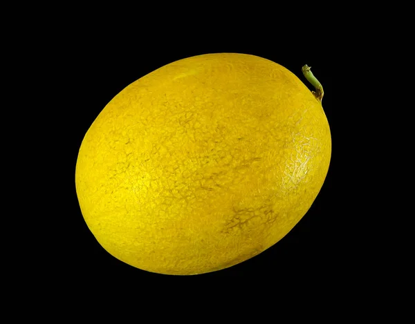 Melón amarillo con aislado sobre fondo negro — Foto de Stock