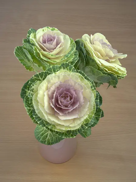 Süs kale ahşap arka plan