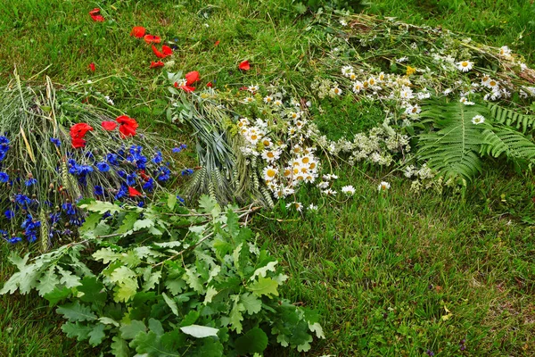 Wild flowers laying in green grass picked for  wreath  for midsummer evening celebration decoration as colorful nature background.