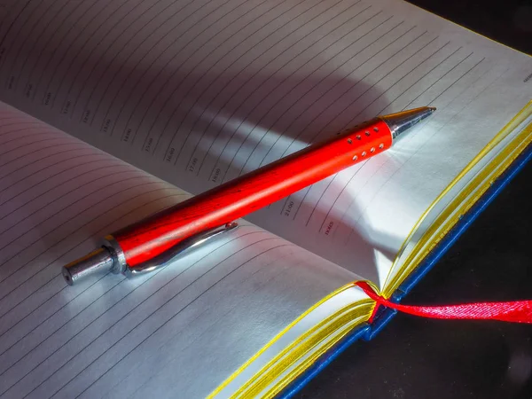 Her gün gerekli kalem: Not defteri ve defter ile bir iş adamı için ayarla