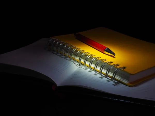 Her gün gerekli kalem: Not defteri ve defter ile bir iş adamı için ayarla