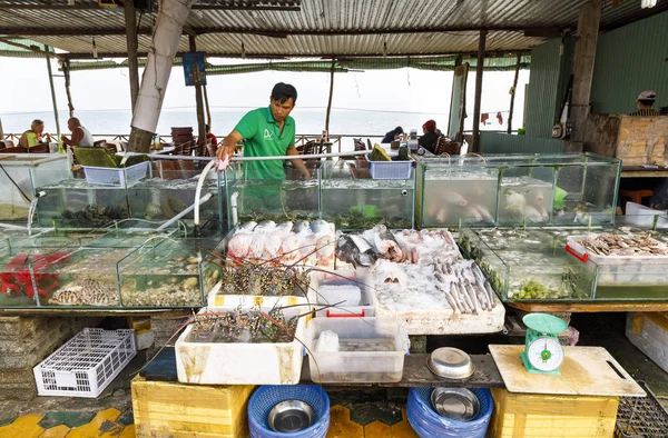 Тянь Нам Єтнам Лютого 2018 Акваріуми Чаші Наповнені Свіжими Морепродуктами — стокове фото