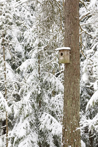 Ptak gniazdo na drzewie łodygi na śnieżnobianej zimy — Zdjęcie stockowe