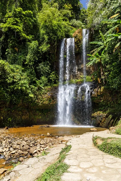 Водопад в лесу в Дам Бри, Вьетнам — стоковое фото