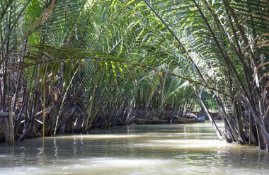 Bir nehrin su kenarında uzun yapraklı yeşil bitkiler
