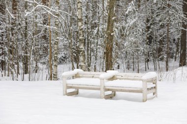 Karla kaplı bir ormanda bank.