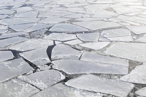 Pieces of ice in a cold sea at winter — Stock Photo, Image