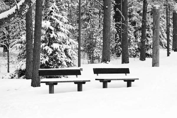 Lavička v lese pokrytém sněhem — Stock fotografie