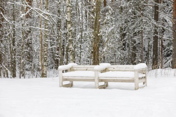 Bänk i en skog täckt med snö — Stockfoto