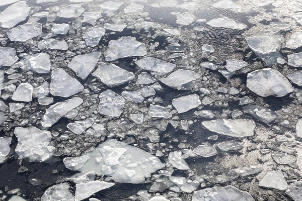 Pieces of ice in a cold sea at winter — Stock Photo, Image