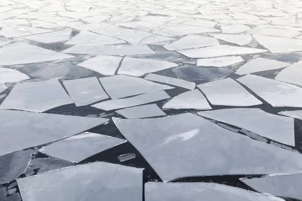 Pieces of ice in a cold sea at winter — Stock Photo, Image