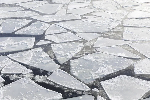 Pezzi di ghiaccio in un mare freddo in inverno — Foto Stock