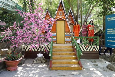 Da Lat, Vietnam 'da pembe ağaç ve renkli üçgen binalar