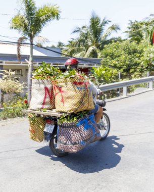 Bisikletçi My Tho, Vietnam motosiklet meyve taşır