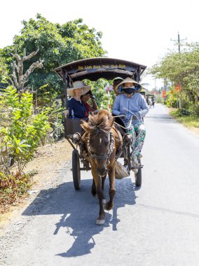 Mekong nehri yakınında turist taşımak için arabaları ile küçük atlar 
