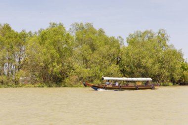 Vietnam'da Mekong nehir deltasında turist teknesi sürmek