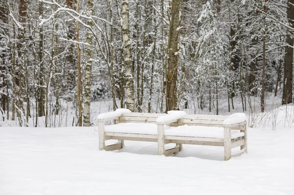 Karla kaplı bir ormanda bank.