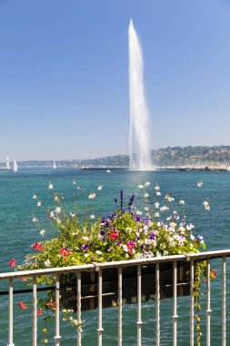 Çiçek sepeti ve çeşme Jet d'eau Cenevre, İsviçre