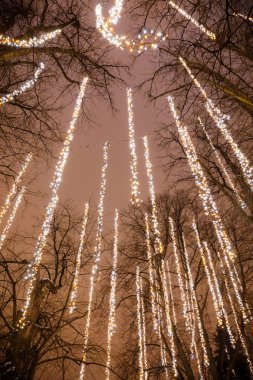 Uzun Led ışık şeritler ağaçlara asmak