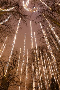 Uzun Led ışık şeritler ağaçlara asmak