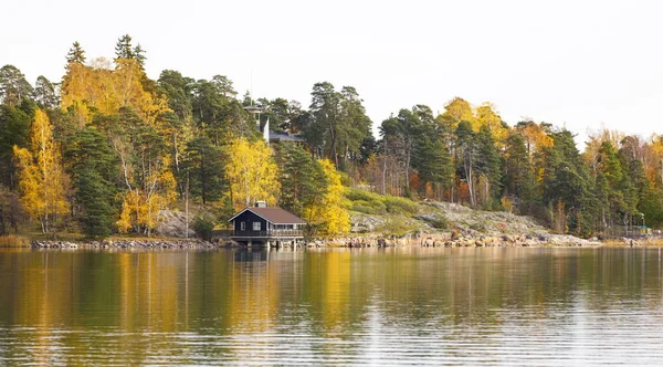 Барвистий осінній ліс біля озера — стокове фото