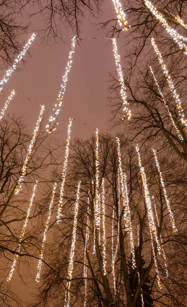 Long LED light strips hang on trees
