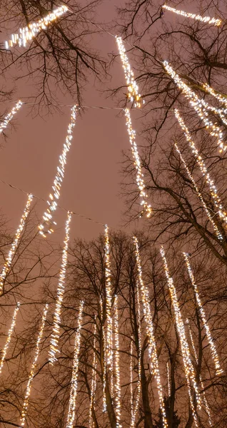 Long LED light strips hang on trees