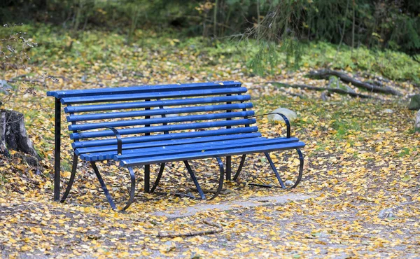 秋天森林中的蓝色长凳 — 图库照片