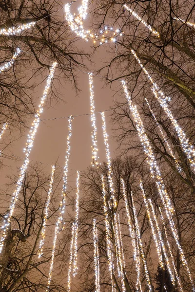 Långa LED-ljus remsor hänga på träd — Stockfoto