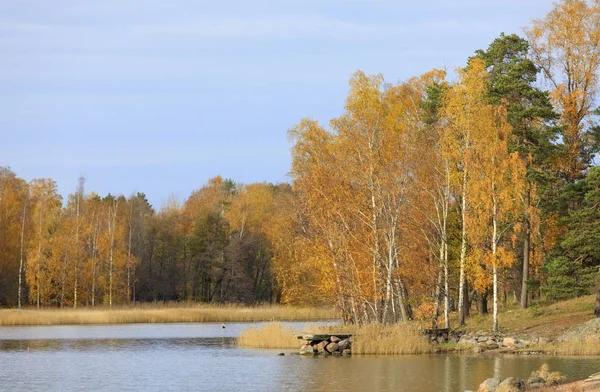Foresta autunnale colorata accanto a un lago — Foto Stock