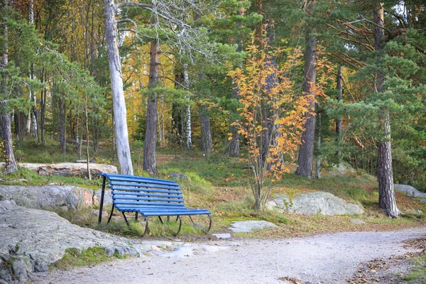 Panchina blu accanto passerella nella foresta — Foto Stock